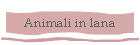 Animali in lana