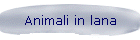 Animali in lana