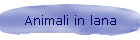 Animali in lana