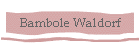 Bambole Waldorf