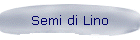 Semi di Lino