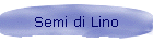 Semi di Lino